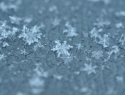 Snowflakes photo by Juliancolton2 on Flickr http://www.fotopedia.com/items/flickr-5360064817